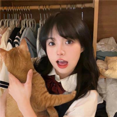 禁宫龙虎斗